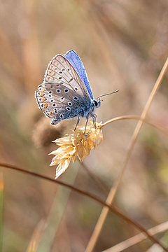  Postalische Erinnerung zur Teilnahme an Onlineumfrage