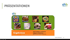 Präsentationsfolie zum Beitrag Studiengang Hebammenkunde, Linda Kurzweil