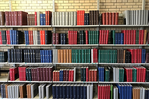 Regal mit Zeitschriftenbänden