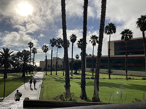Der Campus bei Sonnenschein. Man sieht ein paar Studierende und viele Palmen