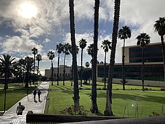 Campus im Grünen auf Tenerriffa